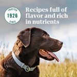 Nutro Natural Choice Healthy Weight Adult Lamb & Brown Rice Recipe Dry Dog Food, photo 16