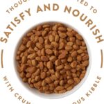 Nutro Ultra Large Breed Adult Dry Dog Food, photo 10