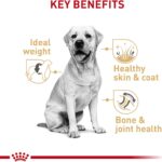 Royal Canin Labrador Retriever Adult Dry Dog Food, photo 4