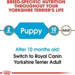 Royal Canin Yorkshire Terrier Puppy Dry Dog Food, photo 4