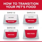 Hill’s Science Diet Light Small & Mini Chicken Recipe Dry Dog Food, photo 7