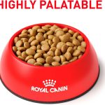 Royal Canin Veterinary Selected Protein PW Grain-Free Dry Dog Food, photo 4