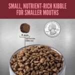 Orijen Small Breed Grain-Free Dry Dog Food, photo 8