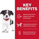 Hill’s Science Diet Puppy Chicken & Brown Rice Recipe No Corn, Wheat, Soy Dry Dog Food, photo 5