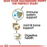 Royal Canin Dachshund Puppy Dry Dog Food, photo 4