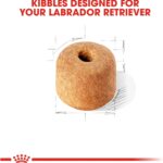 Royal Canin Labrador Retriever Adult Dry Dog Food, photo 5