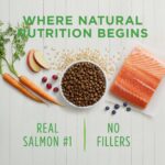 Instinct Be Natural Real Salmon & Brown Rice Recipe Dry Dog Food, photo 10