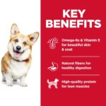 Hill’s Science Diet Adult 1-6 Small Bites Chicken & Barley Recipe Dry Dog Food, photo 5