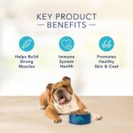 Blue Basics Limited Ingredient Diet Adult Grain-Free Salmon and Potato Recipe Dry Dog Food, photo 10