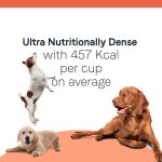 Canidae All Life Stages Lamb Meal & Rice Formula Dry Dog Food, photo 6
