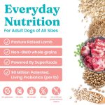 Solid Gold Hund-N-Flocken Everyday Nutrition Lamb, Brown Rice & Pearled Barley Recipe Dry Dog Food, photo 6