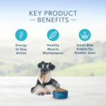 Blue Life Protection Formula Small Breed Senior Chicken and Brown Rice Recipe Dry Dog Food, photo 7