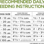 Purina Beneful Healthy Weight Farm-Raised Chicken Dry Dog Food, photo 9