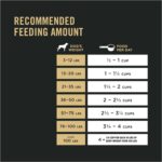 Purina Pro Plan Adult 7+ Bright Mind Chicken & Rice Formula Dry Dog Food, photo 9