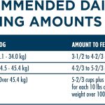 Purina One SmartBlend Large Breed Adult Formula Premium Dry Dog Food, photo 13