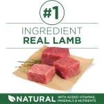 Purina One SmartBlend Small Breed Lamb & Rice Formula Adult Dry Dog Food, photo 10