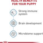 Royal Canin Small Puppy Dry Dog Food, photo 4