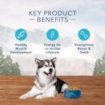 Blue Wilderness Adult Chicken plus Grains Recipe Dry Dog Food, photo 4