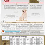 Royal Canin Labrador Retriever Adult 5+ Dry Dog Food, photo 3