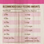 Merrick Classic Healthy Grains Small Breed Recipe Dry Dog Food, photo 12