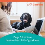Canidae Pure Grain-Free Real Wild Boar & Garbanzo Bean Recipe Dry Dog Food, photo 9