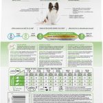 Royal Canin X-Small Adult 8+ Dry Dog Food, photo 5