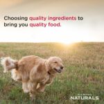 Diamond Naturals Extreme Athlete Adult Dog Chicken & Rice Formula Dry Dog Food, photo 8