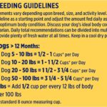 Nature’s Recipe Easy to Digest Chicken Meal, Rice, & Barley Recipe Dry Dog Food, photo 6