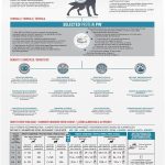 Royal Canin Veterinary Selected Protein PW Grain-Free Dry Dog Food, photo 3