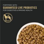 Purina Pro Plan All Ages Sport Small Bites 27/17 Lamb & Rice Formula Dry Dog Food, photo 4
