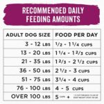 Purina Beneful Superfood Blend Salmon Dry Dog Food, photo 12