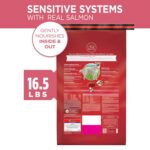 Purina One SmartBlend Sensitive Systems Formula Adult Premium Dry Dog Food, photo 3