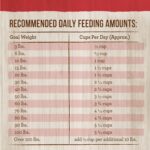 Merrick Kitchen Comforts Real Beef & Brown Rice Dry Dog Food, photo 11