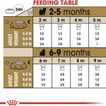 Royal Canin Yorkshire Terrier Puppy Dry Dog Food, photo 5