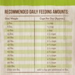 Merrick Classic Healthy Grains Real Lamb + Brown Rice Recipe with Ancient Grains Dry Dog Food, photo 11