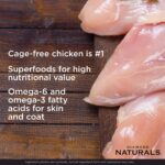 Diamond Naturals Small Breed Adult Dog Chicken & Rice Formula Dry Dog Food, photo 9