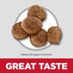 Hill’s Science Diet Puppy Small Bites Chicken & Barley Recipe Dry Dog Food, photo 4