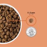 Acana Puppy Recipe Grain-Free Dry Dog Food, photo 4
