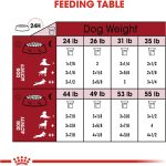 Royal Canin Medium Aging 10+ Dry Dog Food, photo 6
