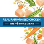 Purina Beneful Healthy Puppy Farm-Raised Chicken Dry Dog Food, photo 12