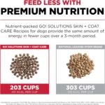 Go! Solutions Skin + Coat Care Lamb Recipe Dry Dog Food, photo 12