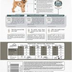 Royal Canin Small Dental Care Dry Dog Food, photo 3