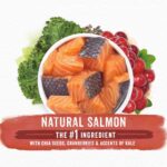 Purina Beneful Superfood Blend Salmon Dry Dog Food, photo 6