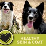 AvoDerm Grain-Free Salmon & Vegetables Recipe Dry Dog Food, photo 9