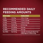 Purina One True Instinct with a Blend of Real Turkey & Venison Dry Dog Food, photo 15