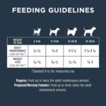 Instinct Raw Boost Grain-Free Recipe with Real Beef for Small Breed Dogs Dry Dog Food, photo 13