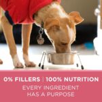 Purina One SmartBlend Sensitive Systems Formula Adult Premium Dry Dog Food, photo 7