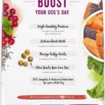 Purina Beneful Superfood Blend Salmon Dry Dog Food, photo 3