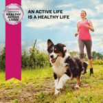 Eukanuba Senior Medium Breed Dry Dog Food, photo 14