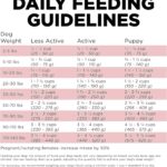 Go! Solutions Sensitivities Limited Ingredient Grain-Free Salmon Recipe Dry Dog Food, photo 14
